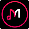 Music Player Pro v2.1.1 Android