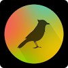 TaoMix 2 - Relax, Sleep & Focus with Nature Sounds